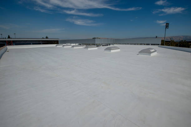 Best Sheet Metal Roofing  in Willits, CA