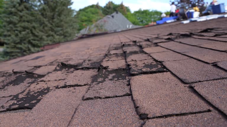 Best Roof Ventilation Installation  in Willits, CA