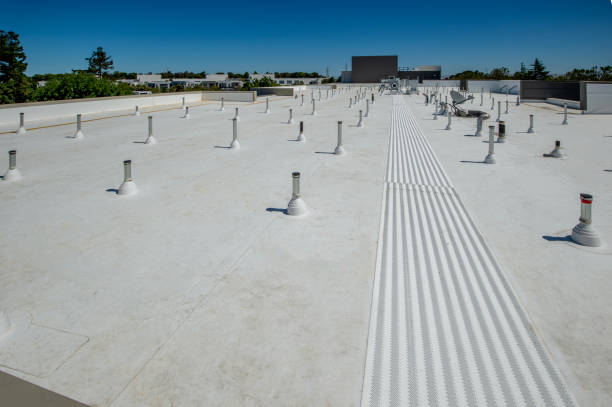 Best Roof Insulation Installation  in Willits, CA